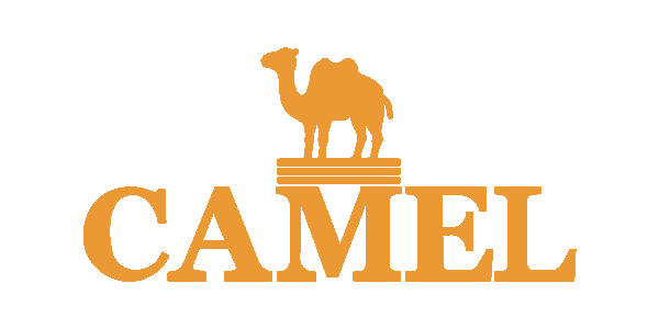 camel